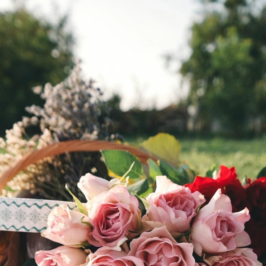 Velas aroma rosas