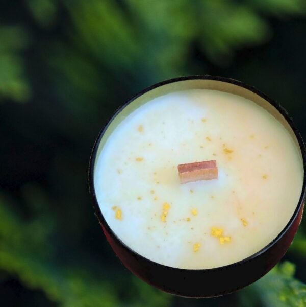 Velas aromáticas artesanales de soja aroma cedro